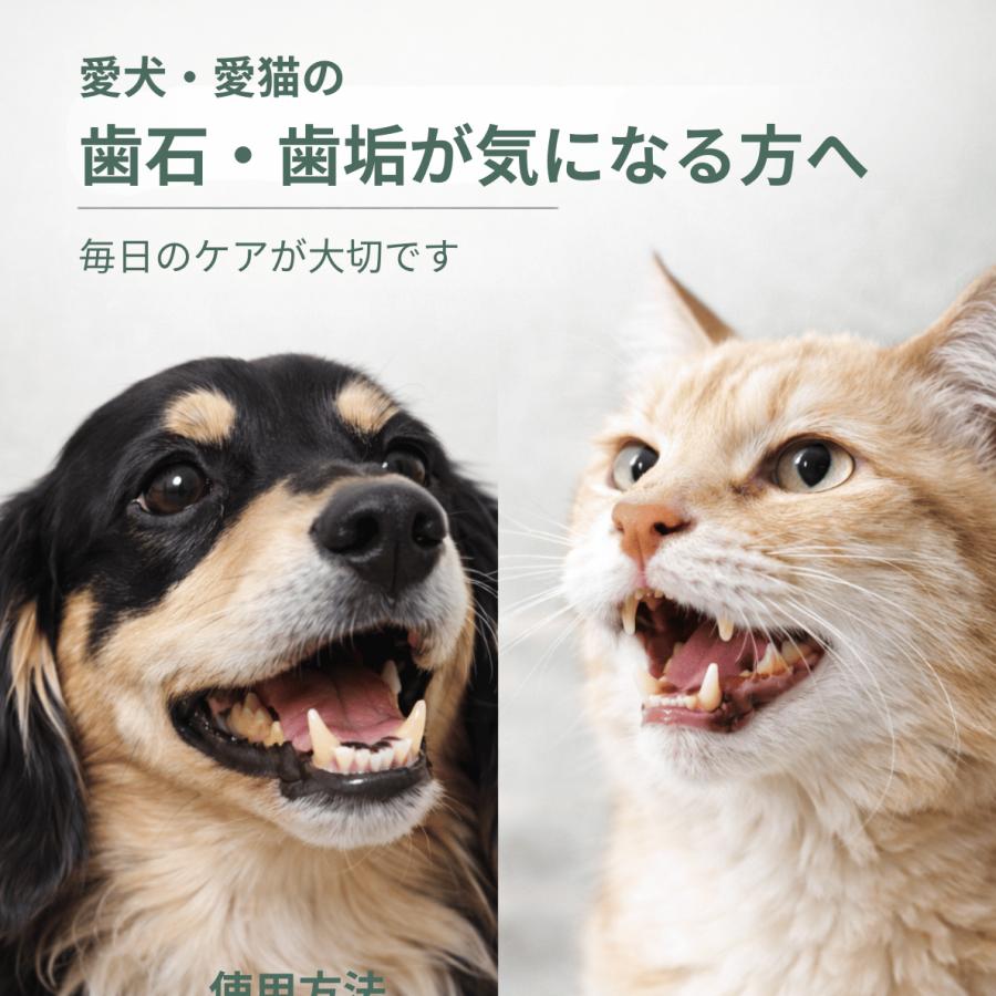 スカローデンタルジェル 歯磨きジェル ペット 犬猫用 歯石取り 歯垢除去 口臭予防 歯周病 歯みがき オーラルケア 山一化学工業 |  | 02