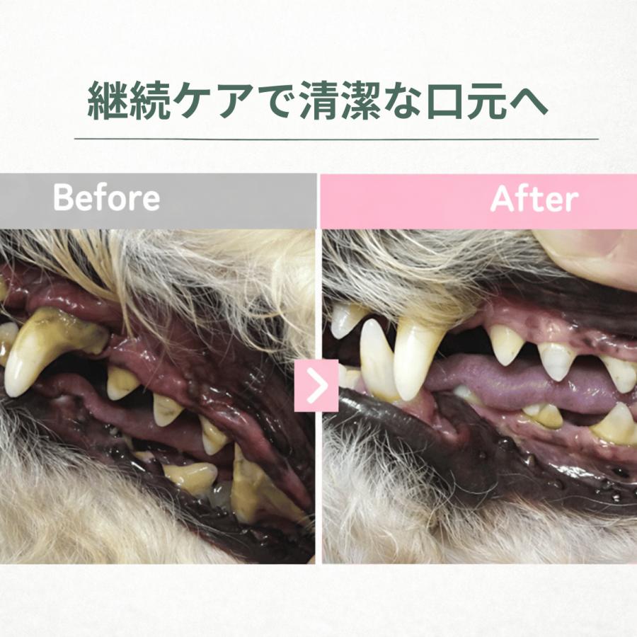 スカローデンタルジェル 歯磨きジェル ペット 犬猫用 歯石取り 歯垢除去 口臭予防 歯周病 歯みがき オーラルケア 山一化学工業 |  | 08