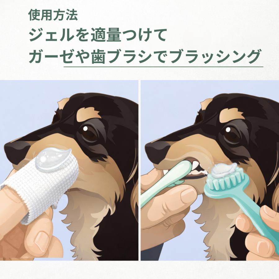 スカローデンタルジェル 歯磨きジェル ペット 犬猫用 歯石取り 歯垢除去 口臭予防 歯周病 歯みがき オーラルケア 山一化学工業 |  | 09