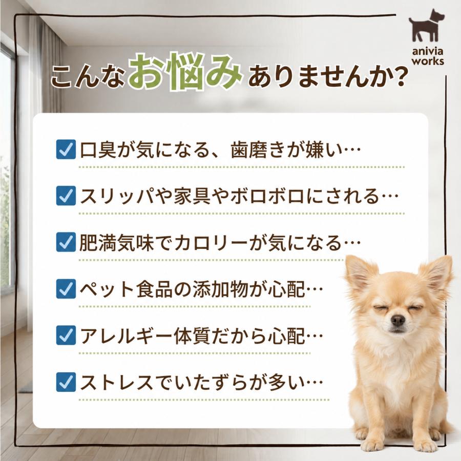 コーヒーウッド 犬 噛むおもちゃ コーヒーの木 無添加 歯磨き オーガニック デンタルケア  ストレス解消 グッズ 玩具 口臭ケア 木製 |  | 01