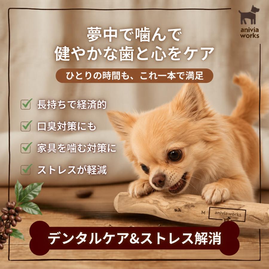 コーヒーウッド 犬 噛むおもちゃ コーヒーの木 無添加 歯磨き オーガニック デンタルケア  ストレス解消 グッズ 玩具 口臭ケア 木製 |  | 02