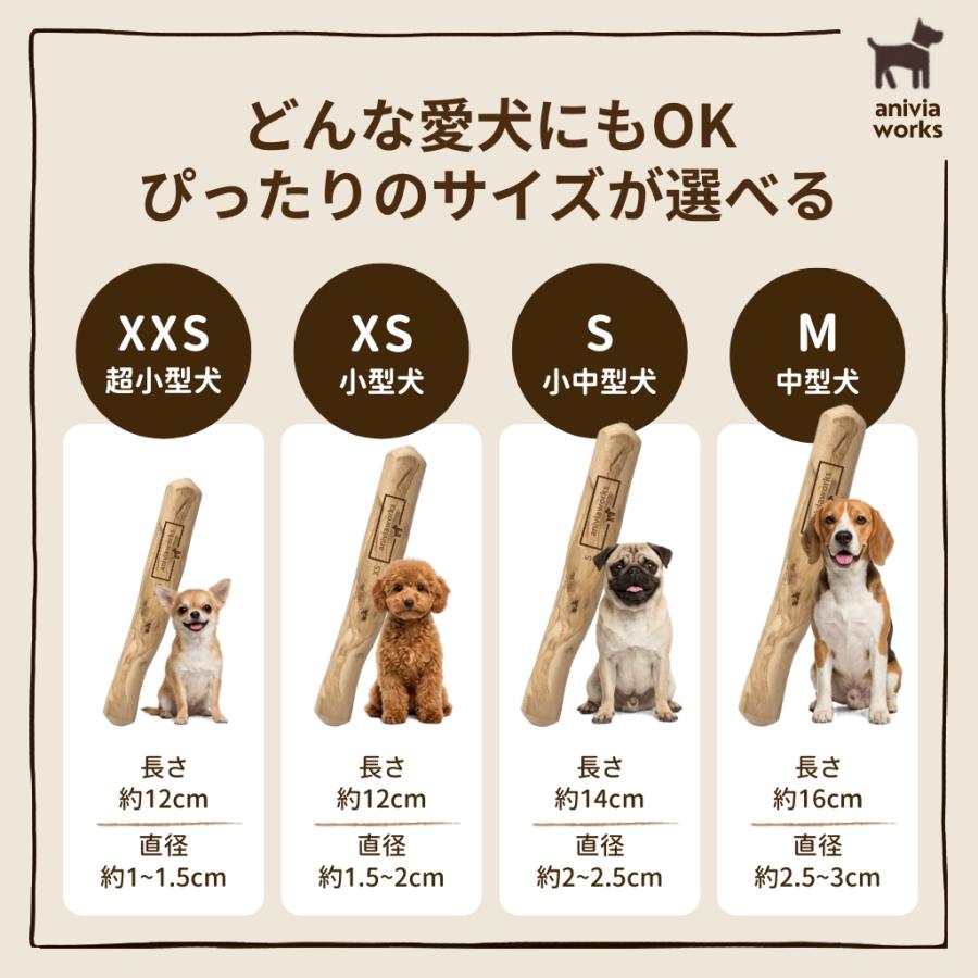 コーヒーウッド 犬 噛むおもちゃ コーヒーの木 無添加 歯磨き オーガニック デンタルケア  ストレス解消 グッズ 玩具 口臭ケア 木製 |  | 04