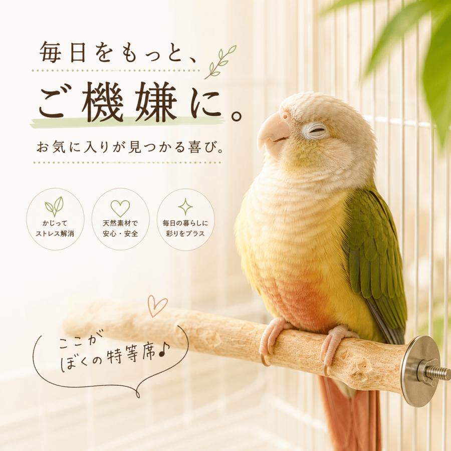 止まり木 インコ おもちゃ 鳥 爪とぎ コーヒーウッド 文鳥 とまり木 かじり木 パーチ 遊び場 直線 オカメインコ オウム |  | 05