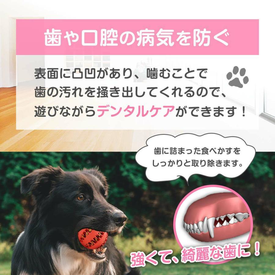 犬 おもちゃ ボール 壊れない ノーズワーク 知育玩具 噛むおもちゃ 犬用 ペット おやつボール 動く 知育 歯磨きボール｜aniviawork｜08