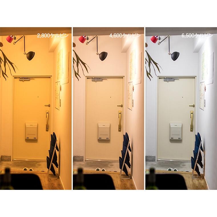 1個セット シーリングライト リモコン/LED電球付 1灯 BIZLER 1個セット シーリングライト リモコン/LED電球付 1灯 BIZLER