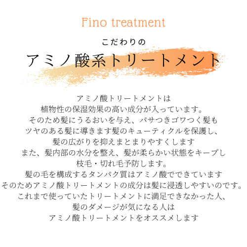 美容室reina公認オリジナルシャンプー Finoシリーズ No 1 Fino ヘアシャンプー 190ml No 2 Fino ヘアトリートメント セット 190ml セット F1 オンラインショップ Anju Yahoo 店 通販 Yahoo ショッピング