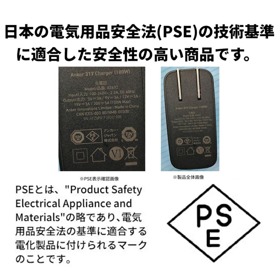 Soundcore（Anker） Anker Soundcore Nebula P1 (着脱式デュアル