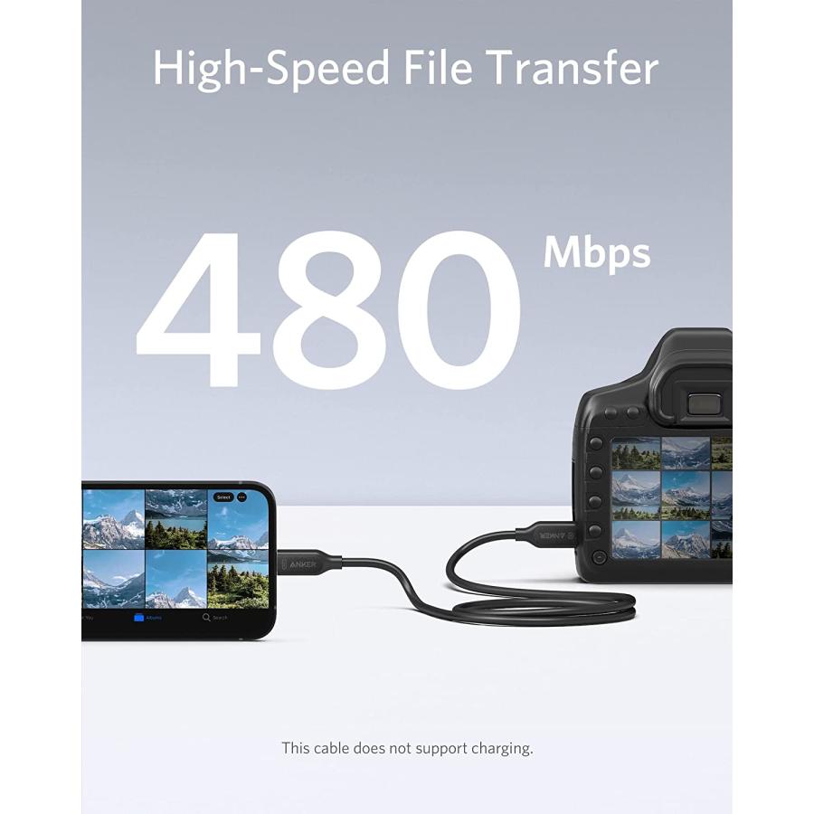 Anker（アンカー） Anker 514 Lightning to USB-C Accessory Cable