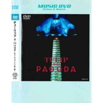 2025年最新】Yahoo!オークション -チューリップ パゴダの中古品