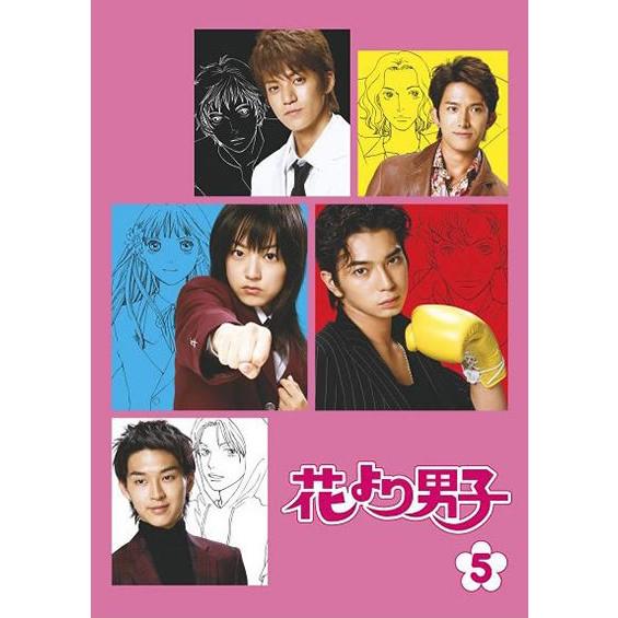 訳あり】花より男子 5(第9話 最終) ※ディスクのみ ※センターホール割れ