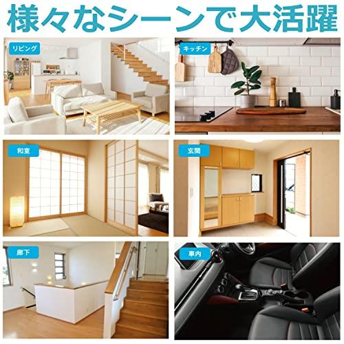 CCP コードレススリム2in1クリーナー CM-DC99-WH ホワイト ホワイト CCP CM-DC99-WH コードレススリム2in1クリーナー E1191910886(10608円)