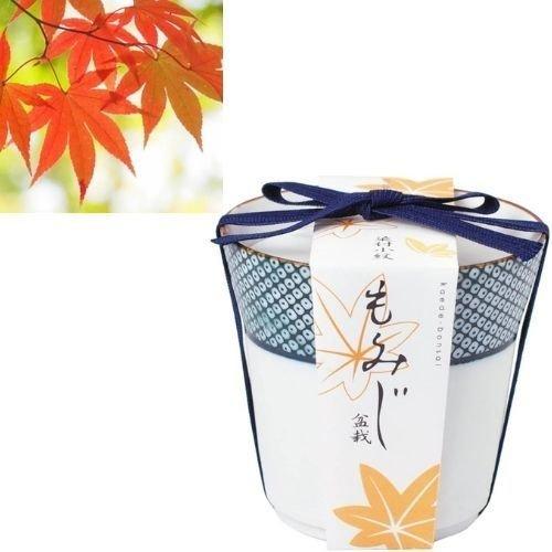 童磨 2種セット♡ Amazon.co.jp: クロダルマ KS-11 ファンセット ブラック Free