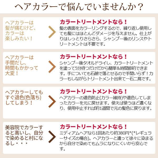 トリートメントカラー エブリ カラートリートメント 160g 青系3本セット Annadonna アンナドンナ 髪染め 白髪ぼかし グレー 女性 白髪 アンナドンナ 公式 Paypayモール店 通販 Paypayモール