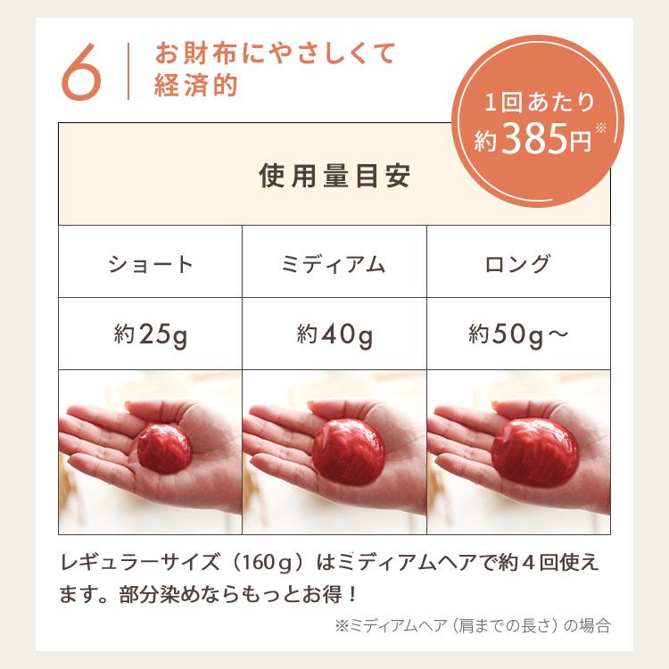 アンナドンナ（annadonna） 【旧商品】カラートリートメント 160g
