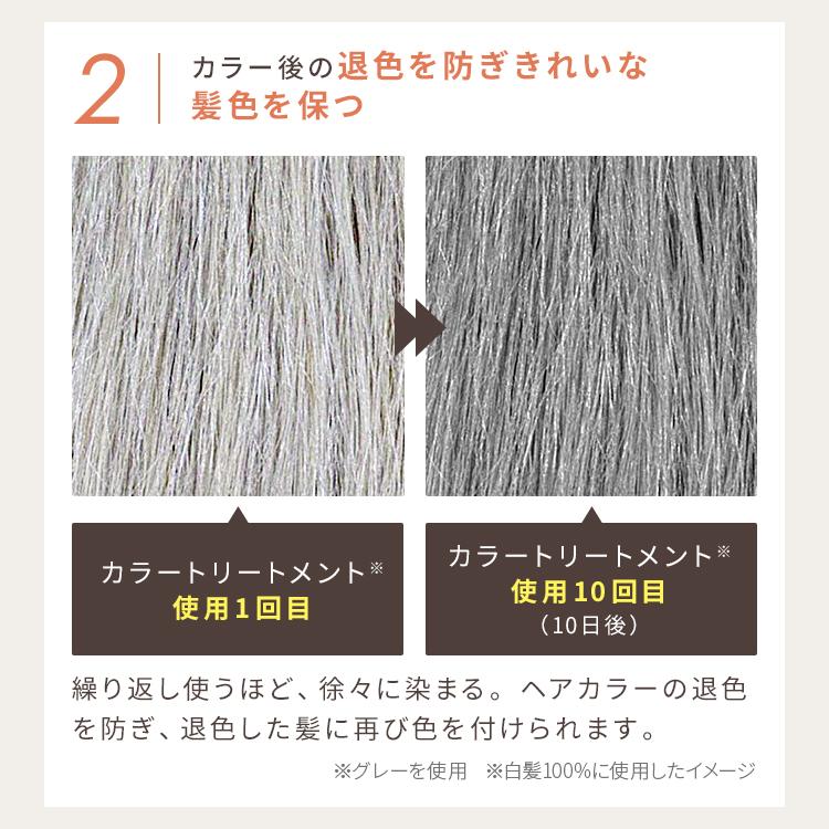 ヘアカラートリートメント2個セット アンナドンナ カラートリートメント ラージサイズ 選べる2本