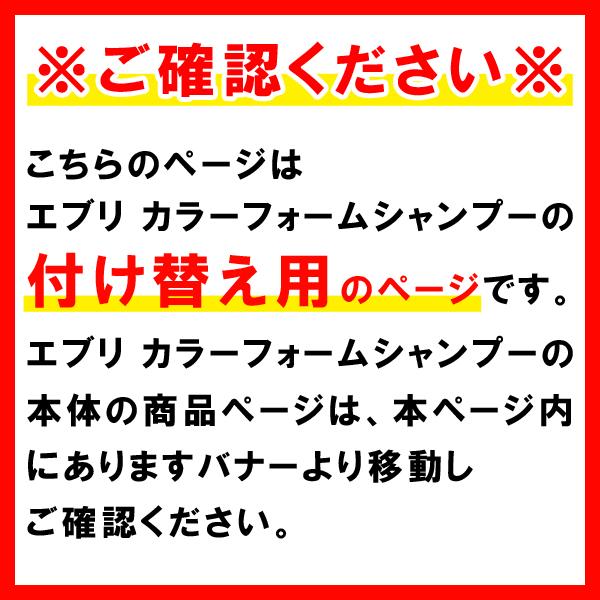 付け替え用 カラーフォームシャンプー 250mL アンナドンナ シャンプー カラーシャンプー ヘアカラー ピンク 紫 青 シルバー 紫シャンプー ムラシャン 詰め替え用 | アンナドンナ | 01