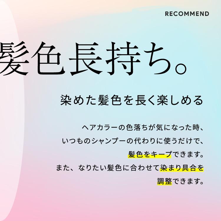 付け替え用 カラーフォームシャンプー 250mL アンナドンナ シャンプー カラーシャンプー ヘアカラー ピンク 紫 青 シルバー 紫シャンプー ムラシャン 詰め替え用 | アンナドンナ | 06