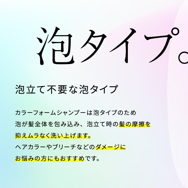 付け替え用 カラーフォームシャンプー 250mL アンナドンナ シャンプー カラーシャンプー ヘアカラー ピンク 紫 青 シルバー 紫シャンプー ムラシャン 詰め替え用 | アンナドンナ | 07