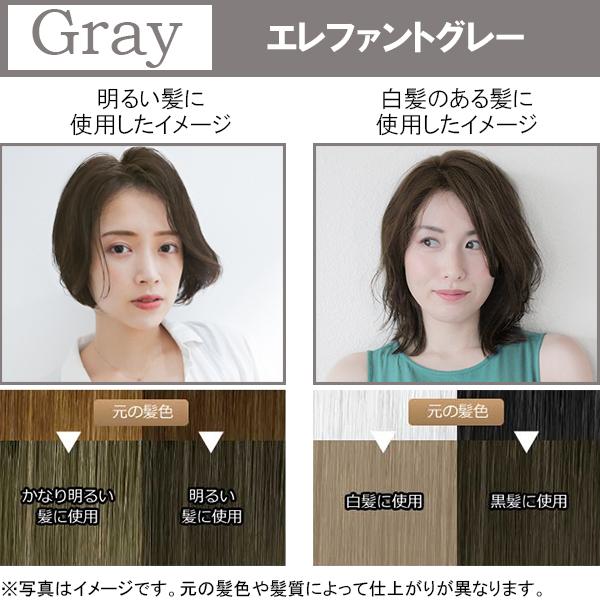 ヘアーカラー エブリ ヘアカラー 1剤40g 2剤80ｍl カラートリートメント50g 医薬部外品 Annadonna アンナドンナ カラーリング剤 髪染め アンナドンナ 公式 Paypayモール店 通販 Paypayモール