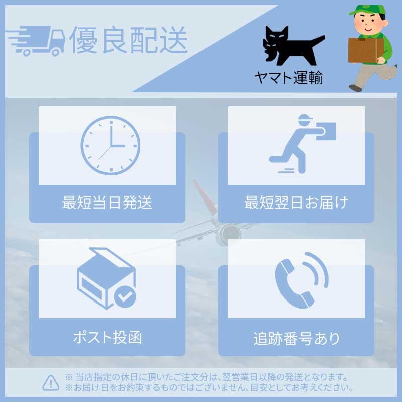 iPad 強化保護フィルム ブルーライトカット第10代 iPad pro 11 第9代 Air 11 第8代 第7代 10.2 mini6 Air5 Air4 pro 11 10.5 9.7 液晶保護 ポイント利用 | iPad | 27