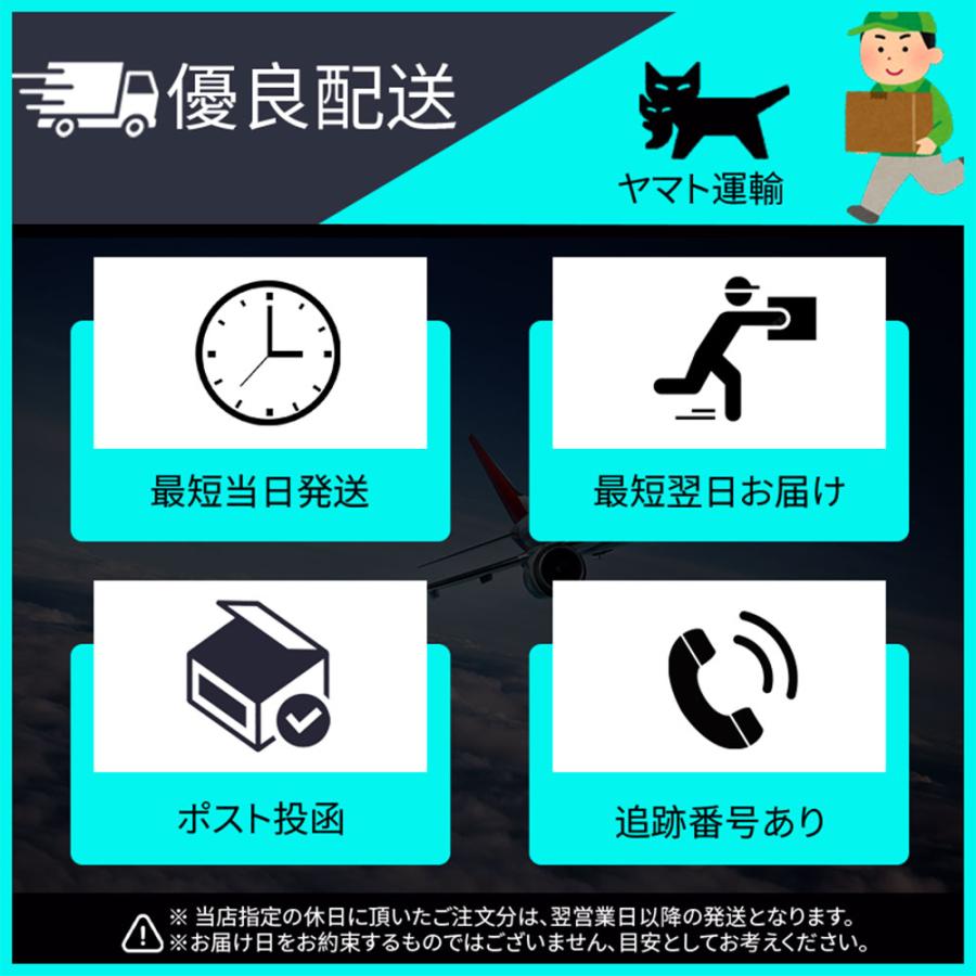 任天堂スイッチ本体☆イーブイセット☆保護シート☆延長保証