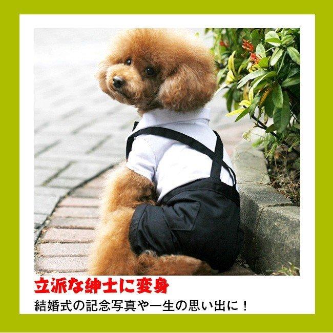 小型犬用 バッククロス スーツ つなぎ 蝶リボン付き お祝い ウェディング 結婚式 披露宴 犬服 ドッグ服 安藤商事 通販 Yahoo ショッピング