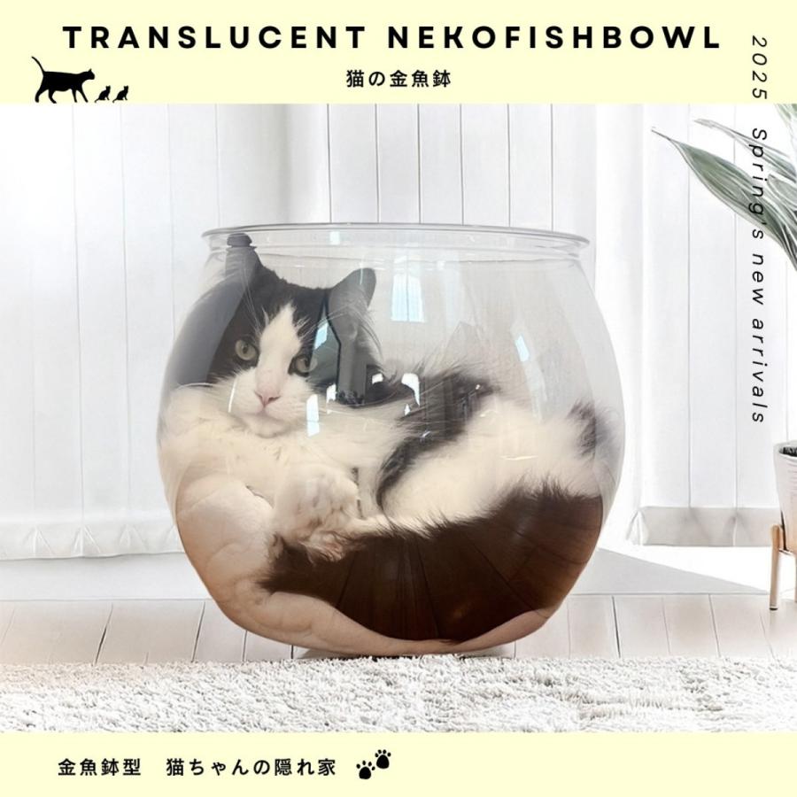 猫の金魚鉢 クッション付 CAT-NEKOFISHBOWL スケルトン 隠れ家 肉球