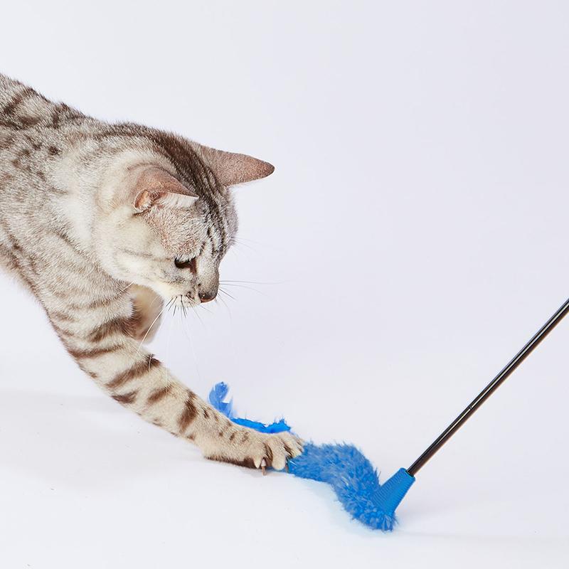 Petio 大好きブルーの猫じゃらし テール&フェザー ペティオ 猫 Petio 大好きブルーの猫じゃらし テール&フェザー ペティオ 猫