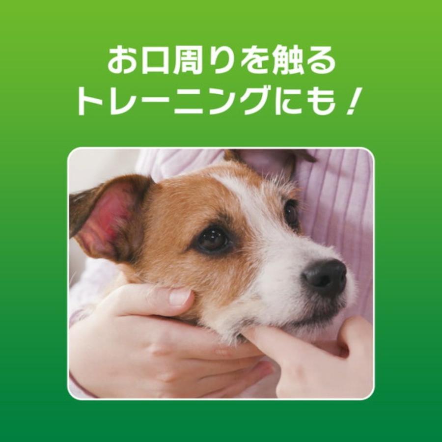 歯みがきジェル アップルの香り ライオン PETKISS 犬・猫用 40g 国産｜anne-mariya｜05