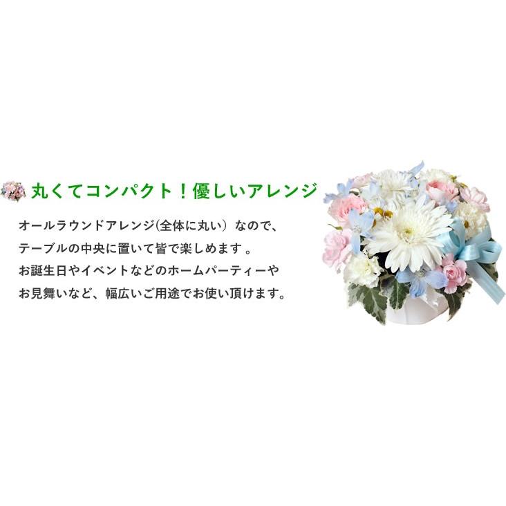 バラ ギフト ばら 誕生日の花 ガーベラ かわいい感じ アレンジ バースデー ギフト ギフト  お祝い 入学 就職 退職 贈り物 クリスマス プレゼント お歳暮｜anne｜07