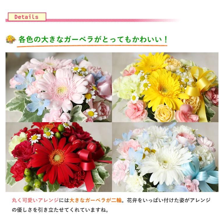 バラ ギフト ばら 誕生日の花 ガーベラ かわいい感じ アレンジ バースデー ギフト ギフト プレゼント 歓送迎 送別 退職 贈り物 卒業 A 0001 アンのお花屋さんyahoo 店 通販 Yahoo ショッピング