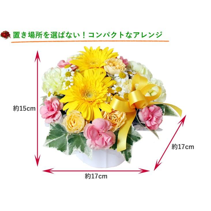 バラ ギフト ばら 誕生日の花 ガーベラ かわいい感じ アレンジ バースデー ギフト ギフト  お祝い 入学 就職 退職 贈り物 バレンタイン プレゼント 爆買 | アンのお花屋さん | 11