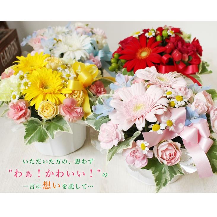 バラ ギフト ばら 誕生日の花 ガーベラ かわいい感じ アレンジ バースデー ギフト ギフト プレゼント お祝い ホワイトデー 入学 父の日 就職 退職 歓送迎 送別 A 0001 アンのお花屋さんyahoo 店 通販 Yahoo ショッピング