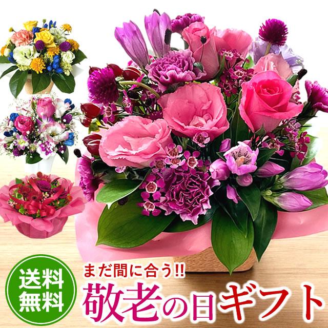 まだ間に合う！ 敬老の日 プレゼント ギフト 2026 選べる 敬老 アレンジメント  長寿アレンジ 季節 優しい プレゼント 送料無料 赤 爆買 | アンのお花屋さん