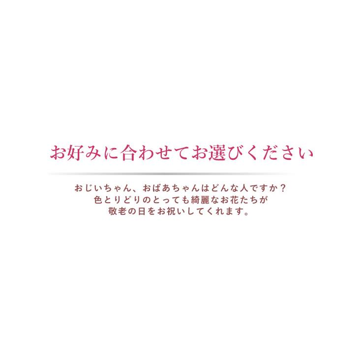 まだ間に合う！ 敬老の日 プレゼント ギフト 2026 選べる 敬老 アレンジメント  長寿アレンジ 季節 優しい プレゼント 送料無料 赤 爆買 | アンのお花屋さん | 05