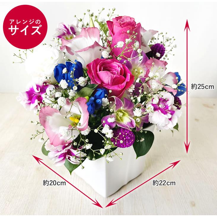 まだ間に合う！ 敬老の日 プレゼント ギフト 2026 選べる 敬老 アレンジメント  長寿アレンジ 季節 優しい プレゼント 送料無料 赤 爆買 | アンのお花屋さん | 08