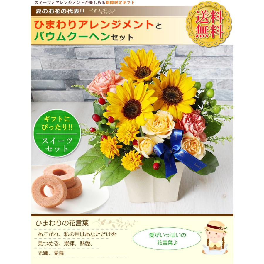 お祝い 誕生日 父の日 ひまわり アレンジメント バウムクーヘン セット 花とスイーツ ギフト 向日葵 ヒマワリ お中元 爆買 | アンのお花屋さん | 01
