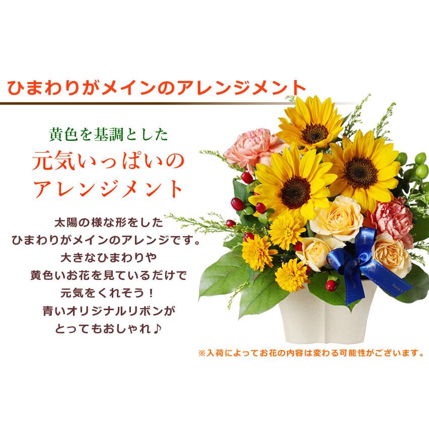 お祝い 誕生日 父の日 ひまわり アレンジメント バウムクーヘン セット 花とスイーツ ギフト 向日葵 ヒマワリ お中元 爆買 | アンのお花屋さん | 02