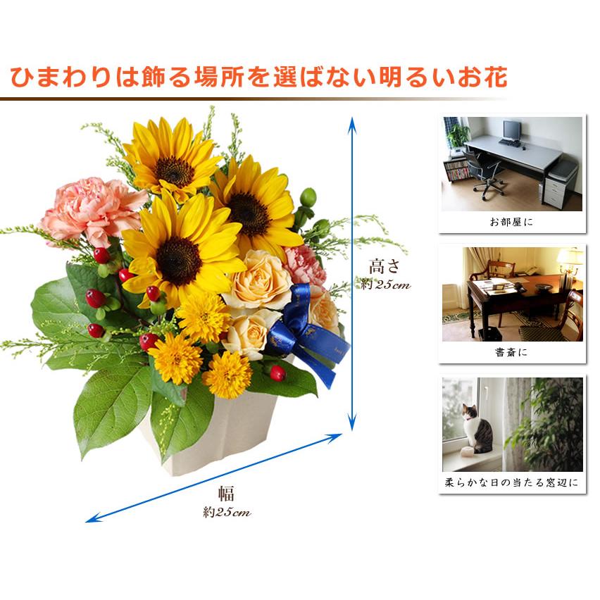 お祝い 誕生日 父の日 ひまわり アレンジメント バウムクーヘン セット 花とスイーツ ギフト 向日葵 ヒマワリ お中元 爆買 | アンのお花屋さん | 03