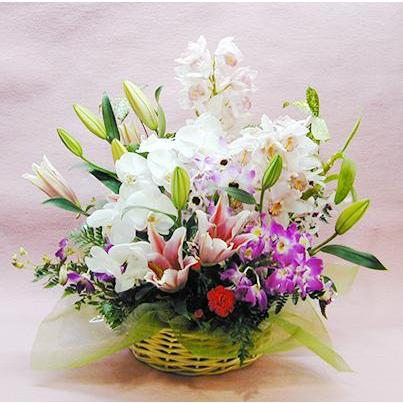 バラ ギフト ばら 誕生日の花 豪華 蘭 アレンジ バースデー プレゼント ギフト プレゼント 贈り物 バレンタイン プレゼント 爆買