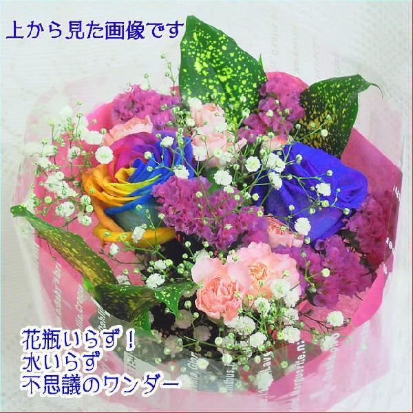 アンのお花屋さん バラ ギフト レインボー ローズ 青 ブルーローズ 夢