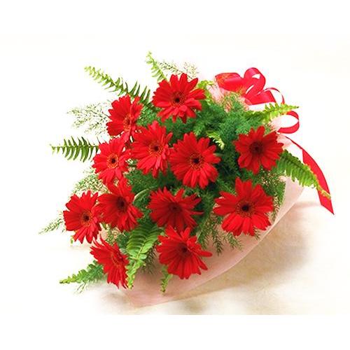 激安の ガーベラレッド赤の 花束 ブーケ ギフト プレゼント 歓送迎 送別 退職 贈り物 敬老の日