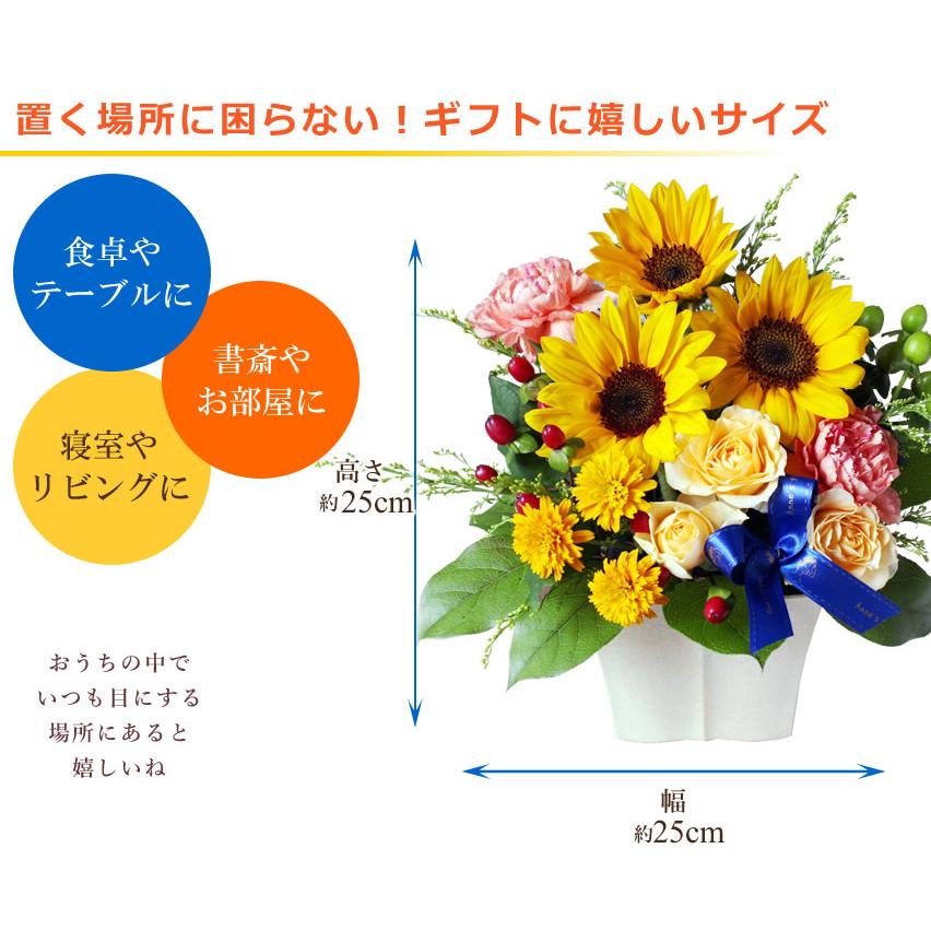 ひまわりお取引 アンのお花屋さん ギフト セット 大輪ひまわり10本の花束 ひまわり