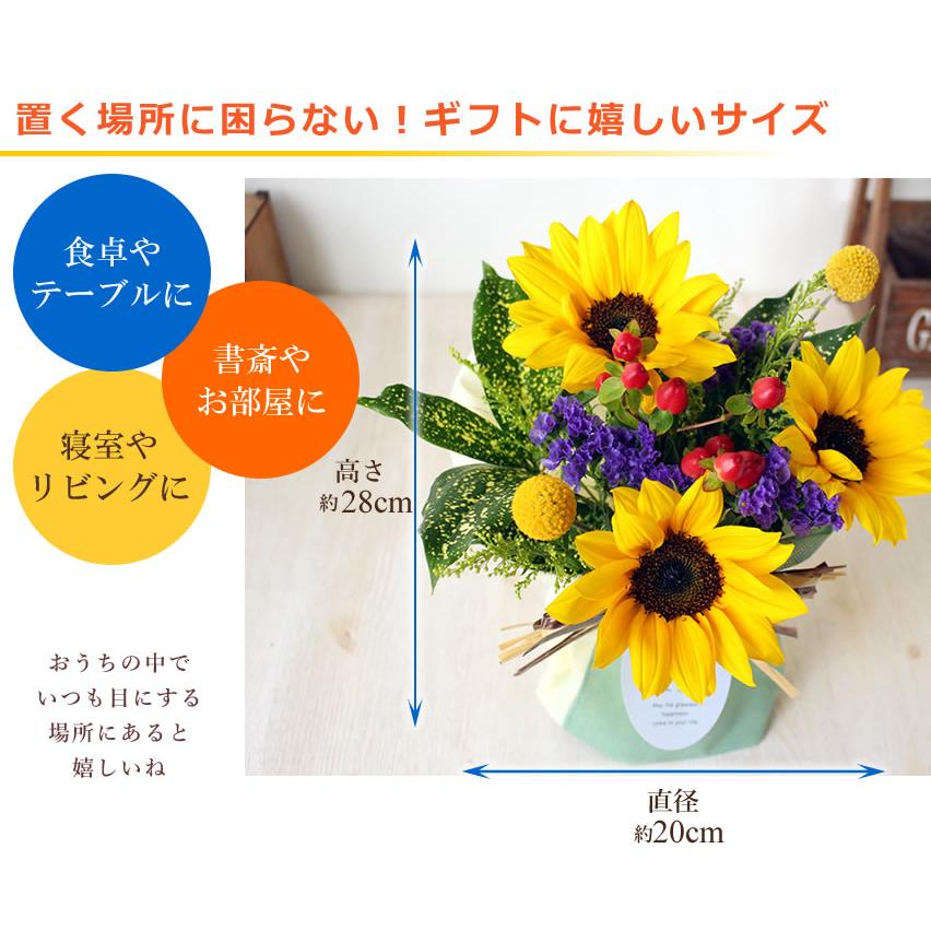 アンのお花屋さん ギフト セット 大輪ひまわり10本の花束 ひまわり