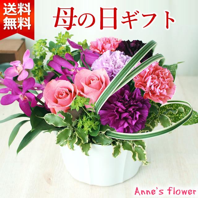 まだ間に合う！ 母の日 花 プレゼント ギフト 2026 紫のカーネーション ムーンダスト アレンジ 花束　送料無料 カーネーション ギフト 爆買（Yahoo!・アンのお花屋さんYahoo!店）