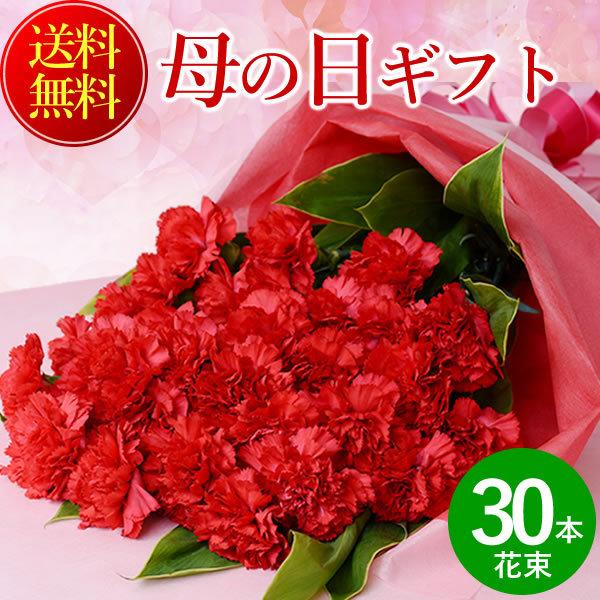 まだ間に合う！ 母の日 花 プレゼント ギフト 2026 花束 赤カーネーション30本の花束　ギフト 送料無料 ネット限定 爆買