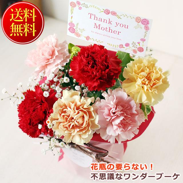 遅れてごめんね！ 母の日 花 プレゼント ギフト 2026 届いたら置くだけ！ 花瓶のいらない 不思議なワンダーブーケ チェルシー 送料無料 ネット限定 爆買（Yahoo!・アンのお花屋さんYahoo!店）