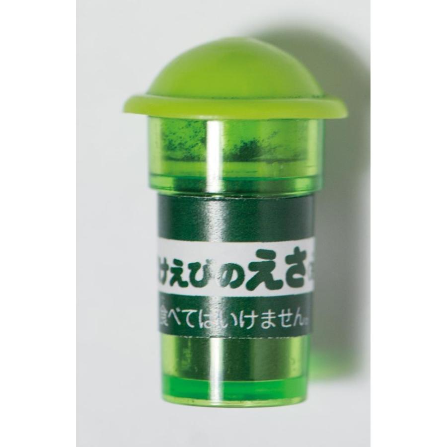 おばけえび飼育観察キット 科学と学習presents 自由研究 Onomade Net