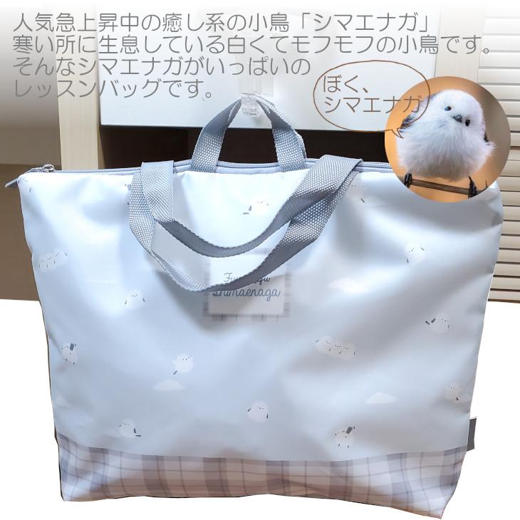 お道具箱をいれるバック レッスン 習い事バッグ 習い事 ピアノ