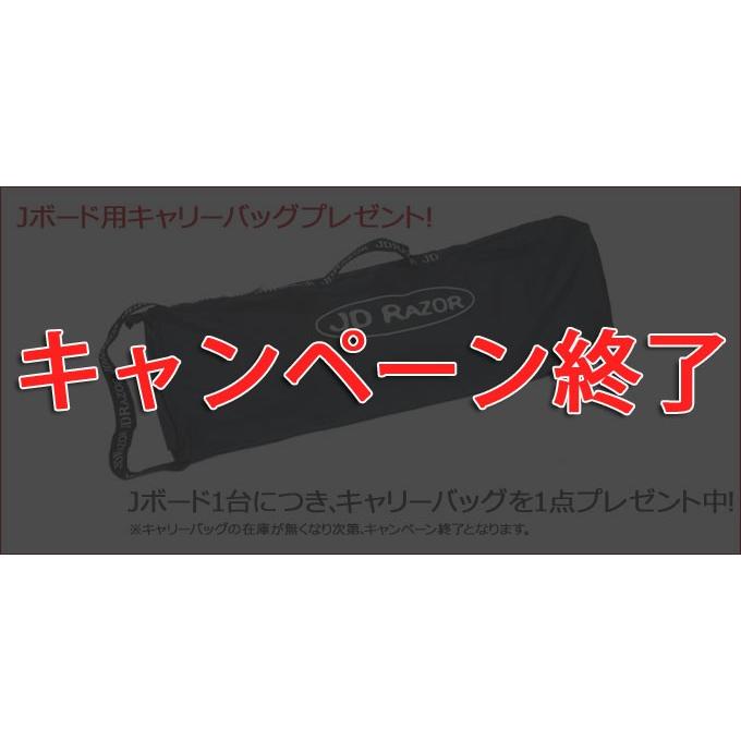 JD RAZOR 期間限定ポイント10倍 ジェイボードEX JボードEX RT-169EX